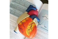 Image An open book with a model of a human heart on top.